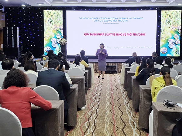 Đại diện Sở NN&MT Đà Nẵng trình bày các quy định pháp luật về bảo vệ môi trường.