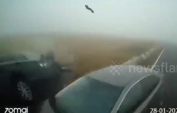 Ảnh cắt từ clip.