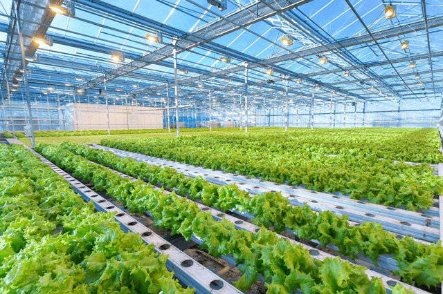 ADB và BIDV hợp tác thúc đẩy nông nghiệp bền vững, hỗ trợ doanh nghiệp do phụ nữ làm chủ