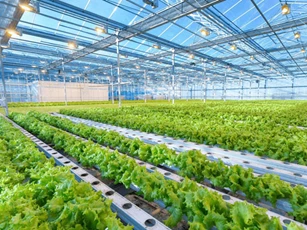 ADB và BIDV hợp tác thúc đẩy nông nghiệp bền vững, hỗ trợ doanh nghiệp do phụ nữ làm chủ