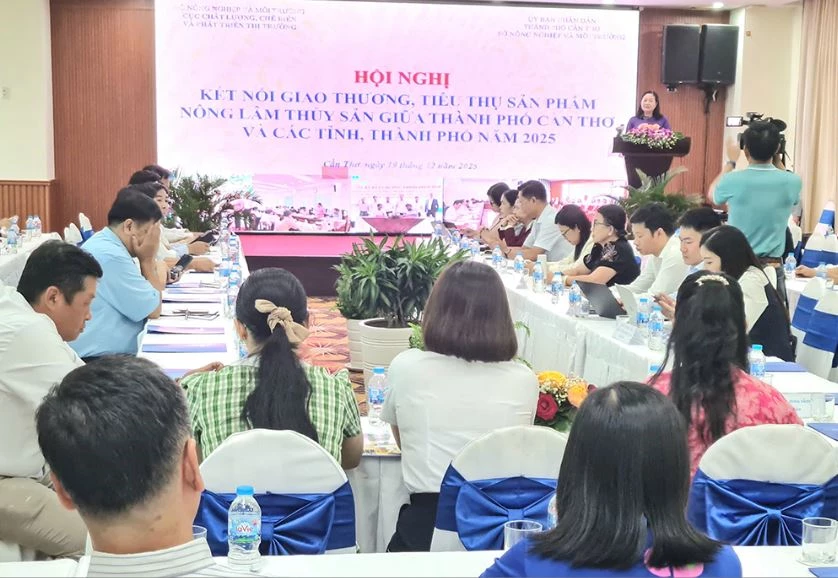 Đại biểu tham dự hội nghị. Ảnh: Báo Cần Thơ.