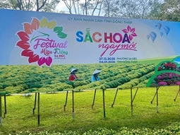 "Thủ phủ" hoa miền Tây rộn nhịp trước thềm festival hoa - kiểng