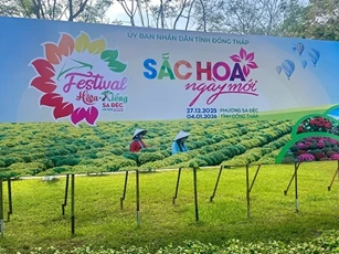"Thủ phủ" hoa miền Tây rộn nhịp trước thềm festival hoa - kiểng