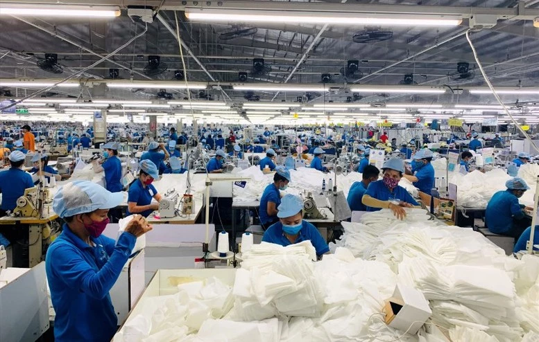 Kim ngạch xuất khẩu toàn ngành ước đạt 46 tỷ USD, tăng khoảng 5% so với năm 2024 - Ảnh minh họa Kim ngạch xuất khẩu toàn ngành ước đạt 46 tỷ USD, tăng khoảng 5% so với năm 2024 - Ảnh minh họa