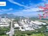 Xi măng Long Sơn – Thanh Hoá: Vững bước tương lai, gắn kết cộng đồng