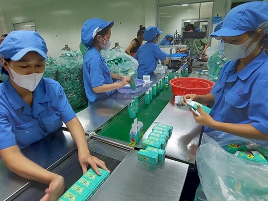 Doanh nghiệp cần bỏ thói quen chọn thị trường dễ để phát triển