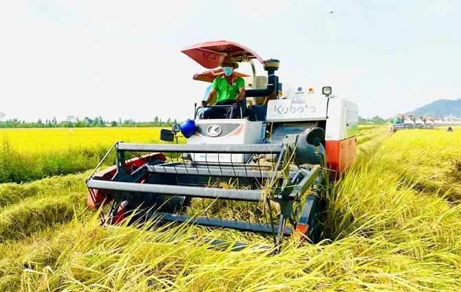 Đồng bằng sông Cửu Long có thế mạnh nông nghiệp nhưng thiếu doanh nghiệp lớn và chi phí logistics cao.