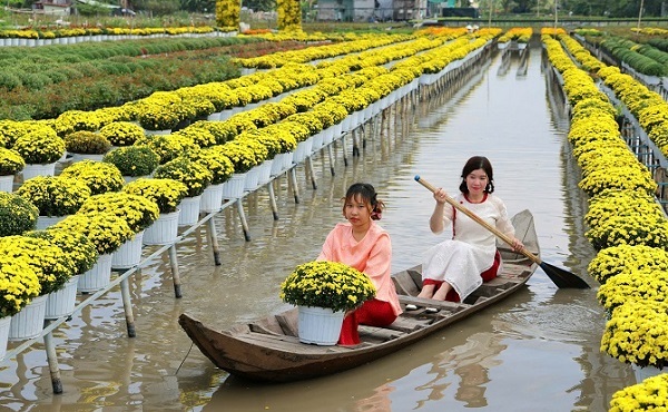 Từ dòng Sa Giang, hoa Sa Đéc vươn mình thành ‘đế chế nghìn tỷ’