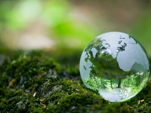 Chung tay từ những việc nhỏ để xây dựng tương lai xanh bền vững