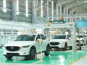 Thị trường ô tô vào chu kỳ cạnh tranh mới