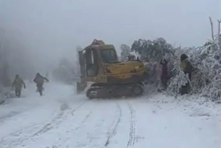 Ảnh cắt từ clip.