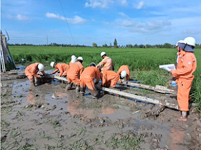 Đầu tư xây dựng lưới điện năm 2025: EVNSPC về đích vượt chỉ tiêu