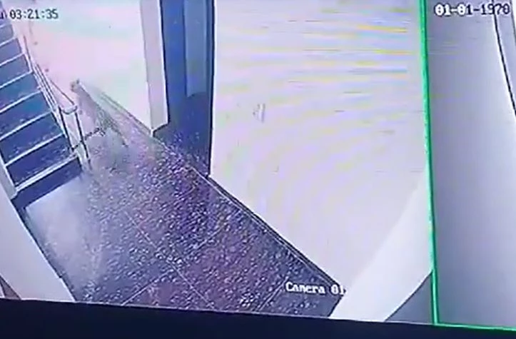 Ảnh cắt từ clip.