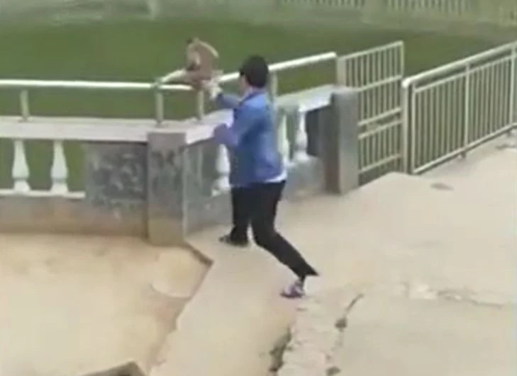 Ảnh cắt từ clip.