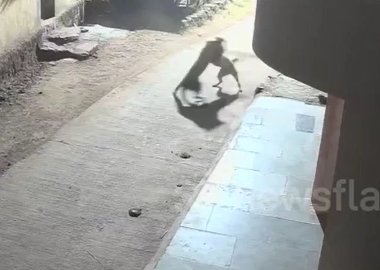 Ảnh cắt từ clip.