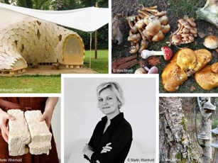 Xây nhà từ... nấm: Cuộc cách mạng vật liệu xanh cho tương lai