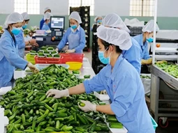 Xuất khẩu trực tuyến: Đừng để hàng Việt thua ở cách tiếp cận