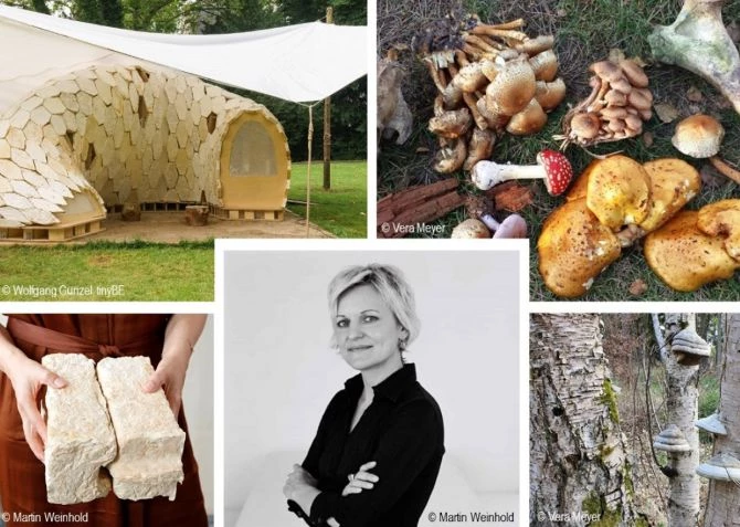 Theo Tiến sĩ Vera Meyer, vật liệu xây dựng từ nấm có khả năng tái sinh, trọng lượng nhẹ nhưng vẫn bền chắc. Ảnh: en.acatech.de