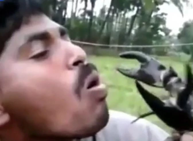 Ảnh cắt từ clip.