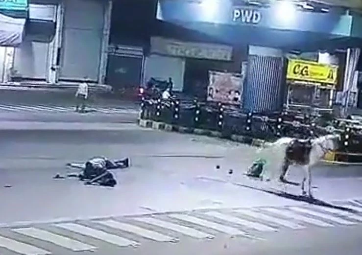 Ảnh cắt từ clip.