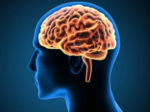 Cơ chế ‘dọn rác’ vô tình trở thành thủ phạm phát tán bệnh Alzheimer