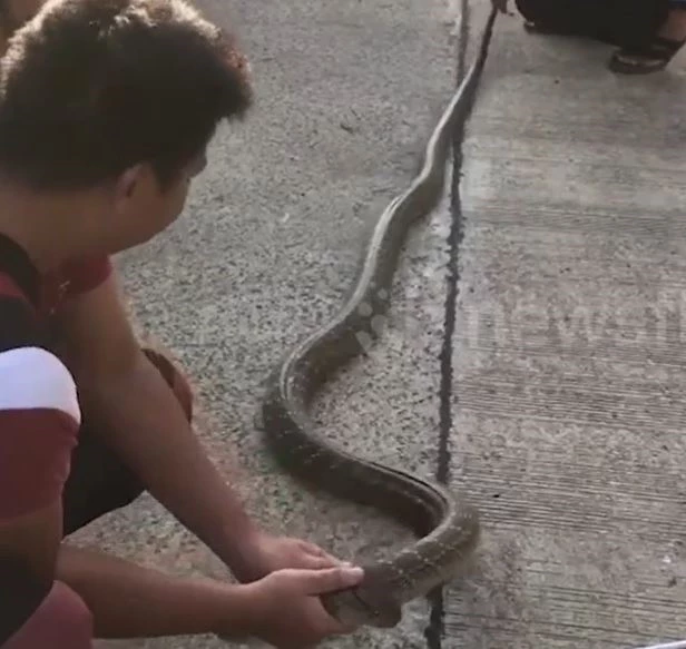 Ảnh cắt từ clip.