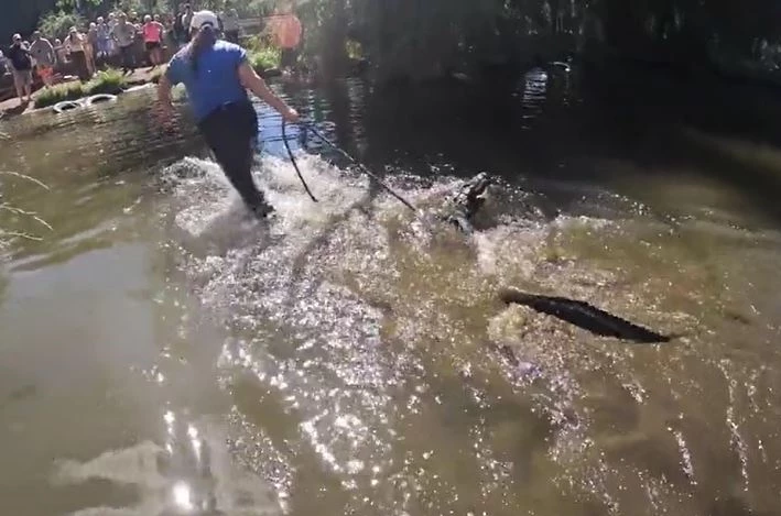 Ảnh cắt từ clip.