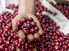 Giá nông sản ngày 8/1/2026: Cà phê và hồ tiêu cùng tăng