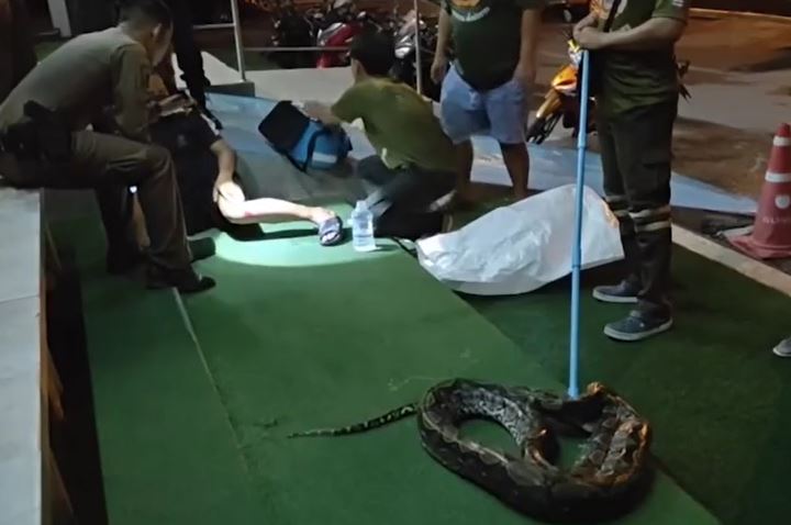 Bị trăn siết chặt, người đàn ông cắn trả để thoát chết