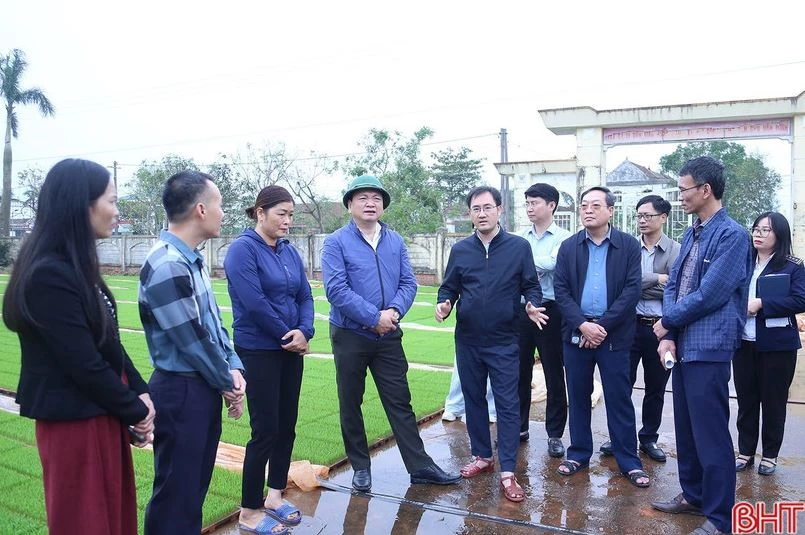 Phó Chủ tịch UBND tỉnh Hồ Huy Thành cùng đoàn kiểm tra sản xuất mạ khay, máy cấy trong vụ xuân 2026 tại xã Yên Hòa. Ảnh: Báo Hà Tĩnh.