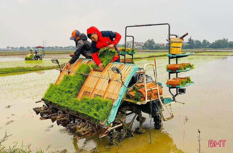 Vụ lúa xuân 2026, Hà Tĩnh tăng tốc canh tác xanh, giảm phát thải