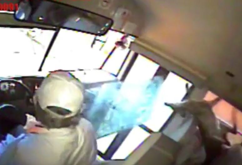 Hươu lao qua đường, xuyên thủng kính chắn gió rồi rơi thẳng vào xe buýt