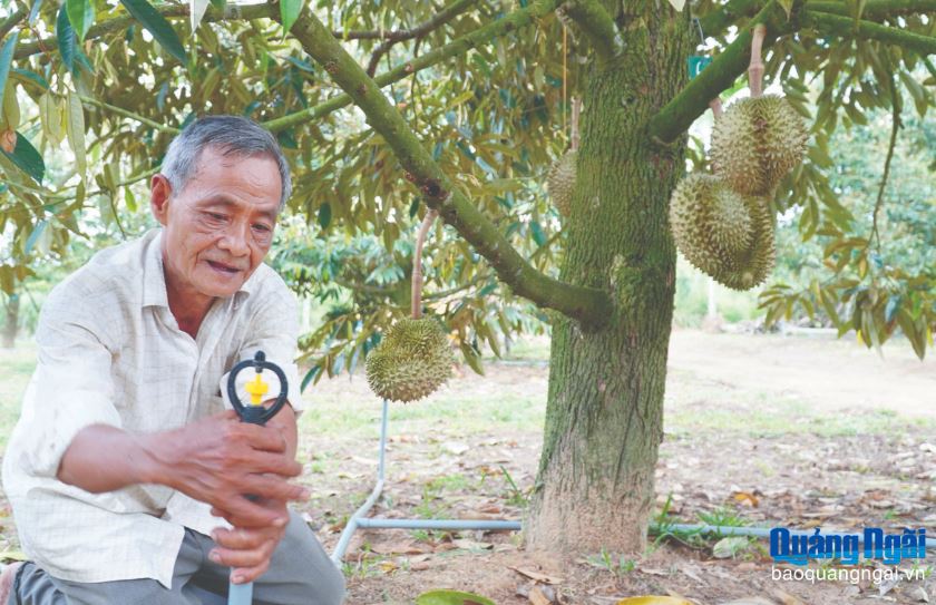 Quảng Ngãi từng bước hình thành xã nông thôn số