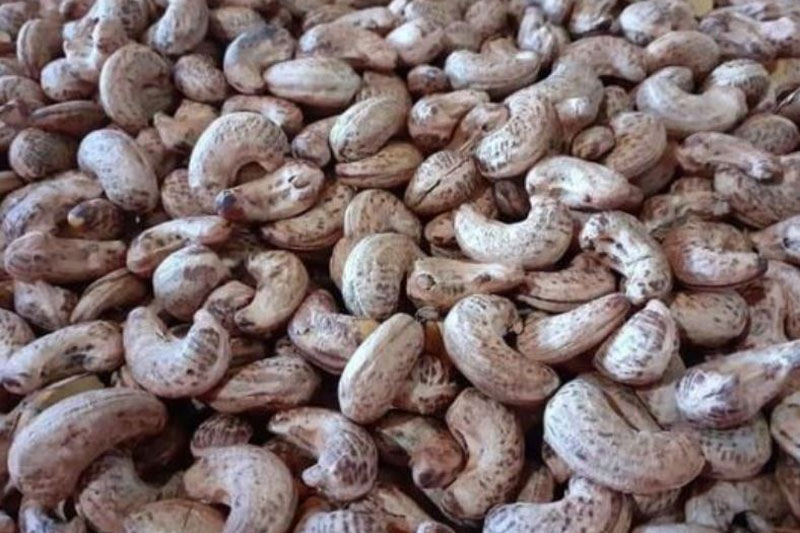 Xuất khẩu hạt điều của Việt Nam lần đầu vượt mốc 5 tỷ USD