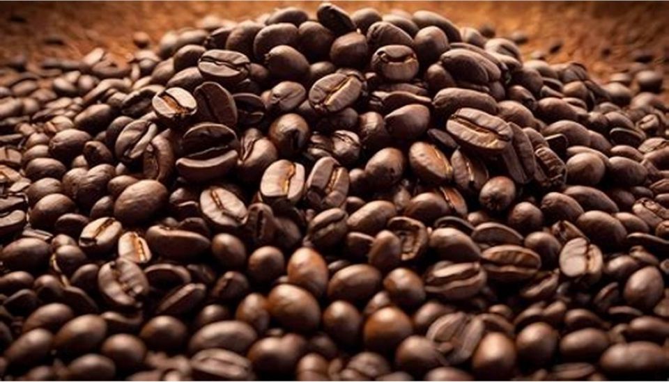 Giá nông sản ngày 14/1/2026: Cà phê đứng giá, hồ tiêu quay đầu giảm nhẹ