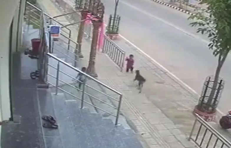 Ảnh cắt từ clip.