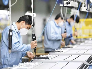 TP Hồ Chí Minh đẩy mạnh hỗ trợ doanh nghiệp nhỏ và vừa, hộ kinh doanh