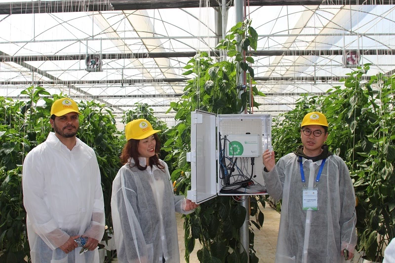 Ông Kohei Mochida (Nhật Bản) giới thiệu với đoàn công tác APO về hệ thống thiết bị theo dõi, kiểm soát vi khí hậu nhà kính từ Nhật Bản 