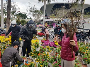 Đà Nẵng: Xử lý việc sang nhượng trái phép các lô bán hoa Tết