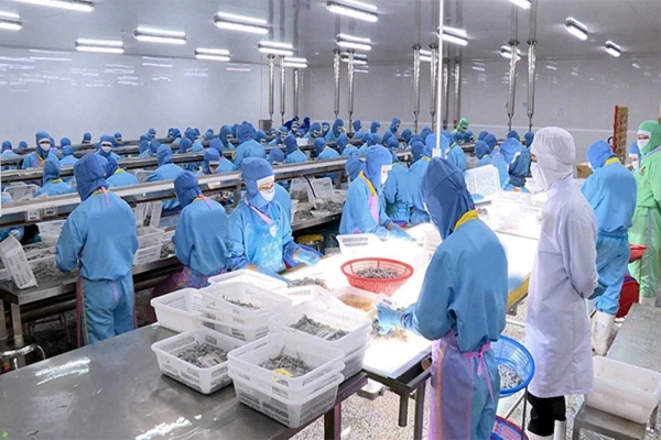 Xuất khẩu thủy sản bứt phá nhờ doanh nghiệp thích ứng linh hoạt