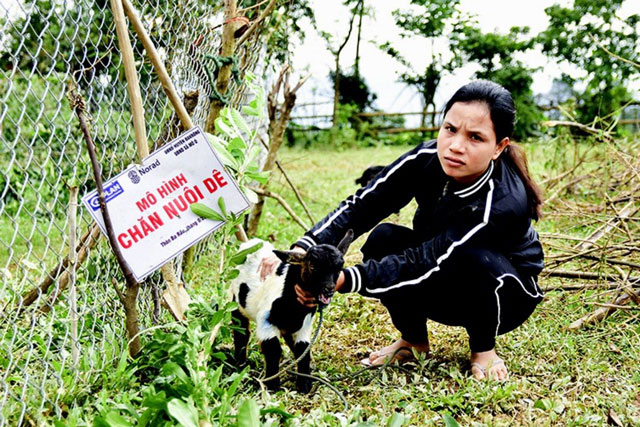 Quảng Trị: Hỗ trợ sinh kế, tạo động lực giúp phụ nữ xã Gio Linh thoát nghèo bền vững