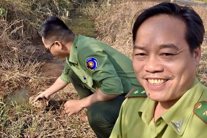 Đồng Nai: Bắt được rùa núi vàng, người dân bàn giao cho công an