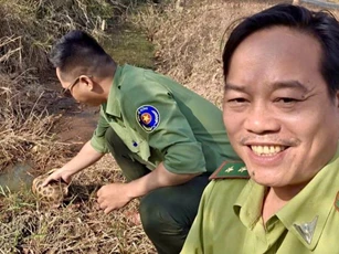 Đồng Nai: Bắt được rùa núi vàng, người dân bàn giao cho công an
