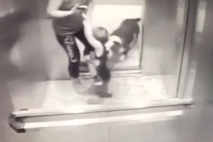 Ảnh cắt từ clip.