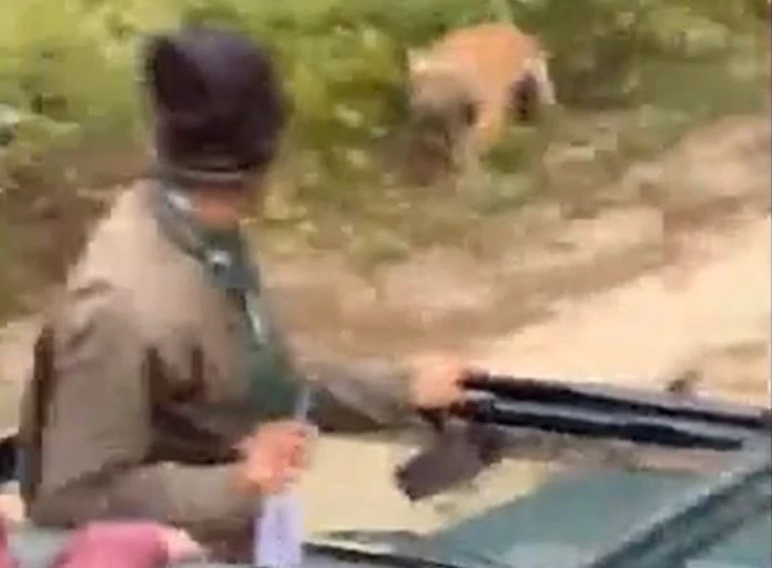 Ảnh cắt từ clip.