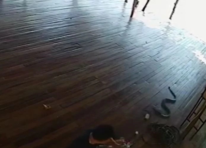 Ảnh cắt từ clip.