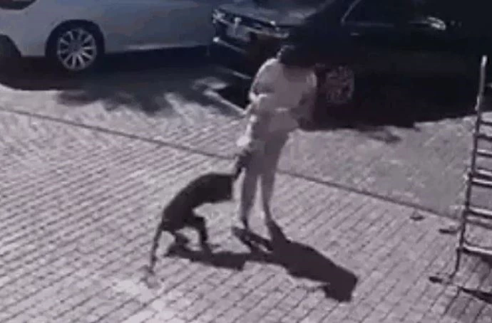 Ảnh cắt từ clip.