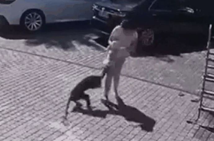 Khỉ hung dữ xông vào nhà dân tấn công bé gái 2 tuổi 