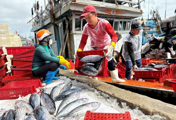 Hải sản 'tắc' đường sang Mỹ vì quy định mới