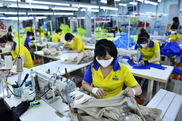 Phần lớn người lao động đóng bảo hiểm xã hội thấp hơn thu nhập thực tế